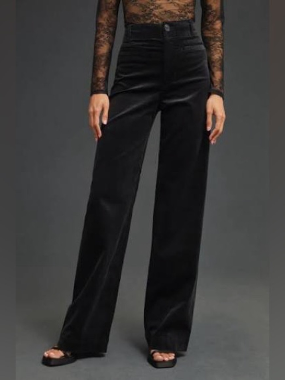 Anthropologie Maeve High-Waist Wide-Leg Velvet Pants